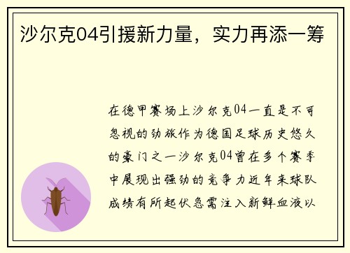 沙尔克04引援新力量，实力再添一筹