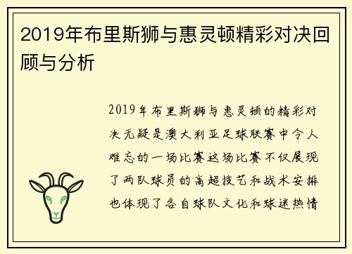 2019年布里斯狮与惠灵顿精彩对决回顾与分析