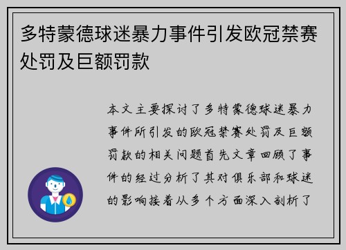 多特蒙德球迷暴力事件引发欧冠禁赛处罚及巨额罚款