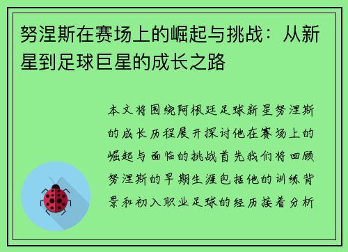 努涅斯在赛场上的崛起与挑战：从新星到足球巨星的成长之路