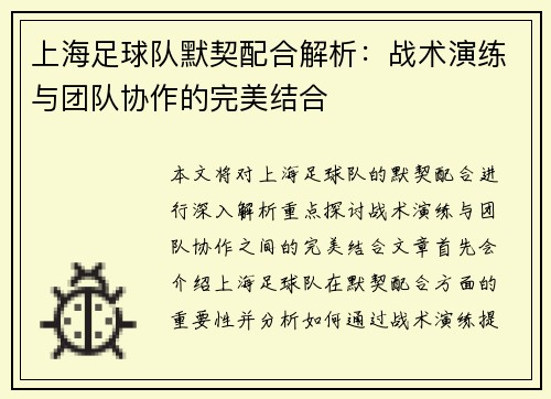 上海足球队默契配合解析：战术演练与团队协作的完美结合